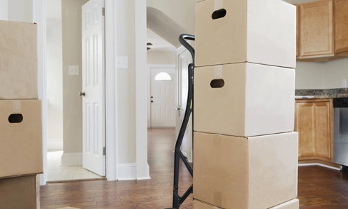 moving-boxes-in-house