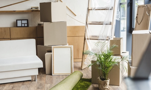 moving-so-burlington moving-boxes-ladder-in-house