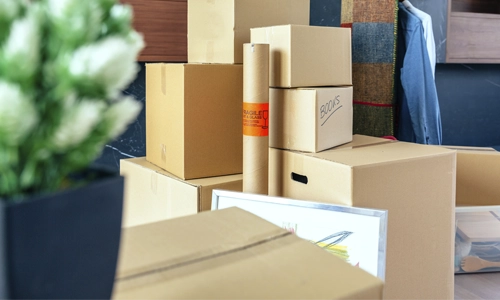 moving-williston-vt moving-boxes-in-home